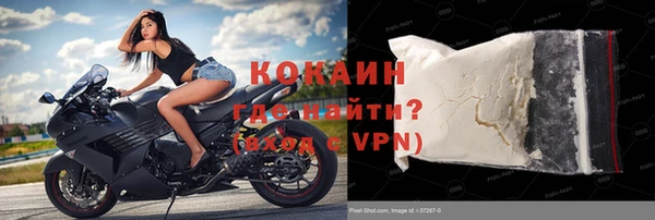индика Костерёво
