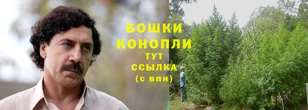 spice Кропоткин